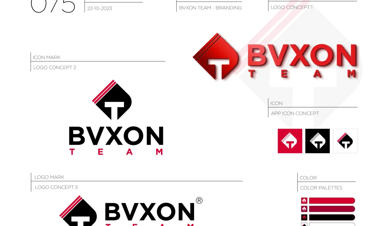 BVXON - WPSoft Solutions