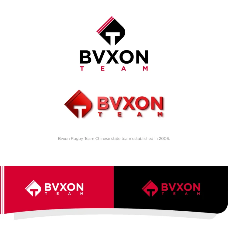 BVXON - WPSoft Solutions